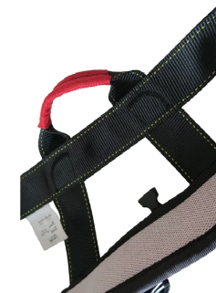 Close up of the reinforced belt on the harness bungee.